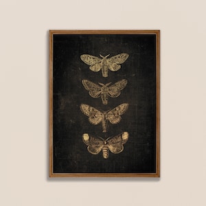 Schwarzer Schmetterlingsdruck, Vintage Schmetterling, dunkle Drucke, Schmetterlingswandkunst, Mottendruck, schwarzer Hintergrund, dunkle botanische Kunst, antike Kunst