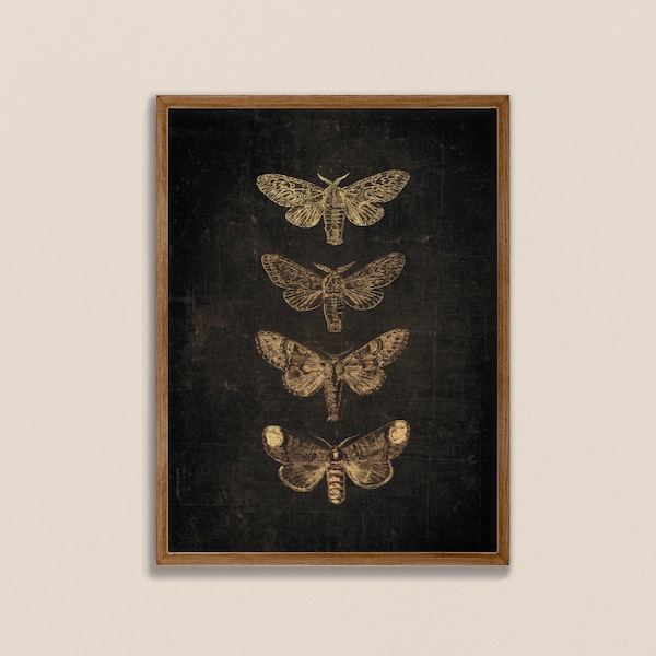 Black butterfly print, vintage butterfly, dark prints, butterfly wall art, moth print, black background art, dark botanical art, antique art