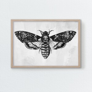 Peut inclure: Illustration en noir et blanc d'un sphinx t&ecirc;te-de-mort avec un motif de cr&acirc;ne sur son thorax.