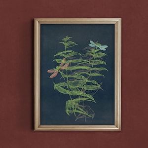 Wildblumen Wandbild, Kräuter zum Ausdrucken, Wildblumen Poster, Libelle Kunstdruck, Digitaldruck, dunkle Blumen, stimmungsvolles Poster