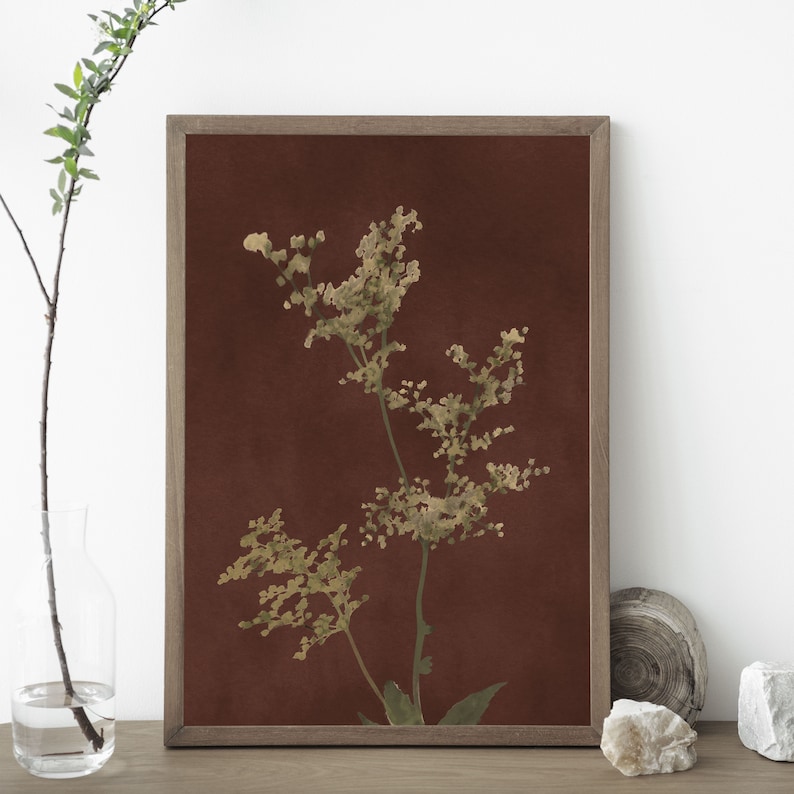 Op de afbeelding: Een ingelijste print van een botanische illustratie met een delicate, lichtgroene plant met kleine bloemen op een dieprode achtergrond.