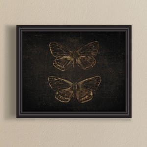 Stampa vintage di farfalle: insetti beige su nero (download digitale)