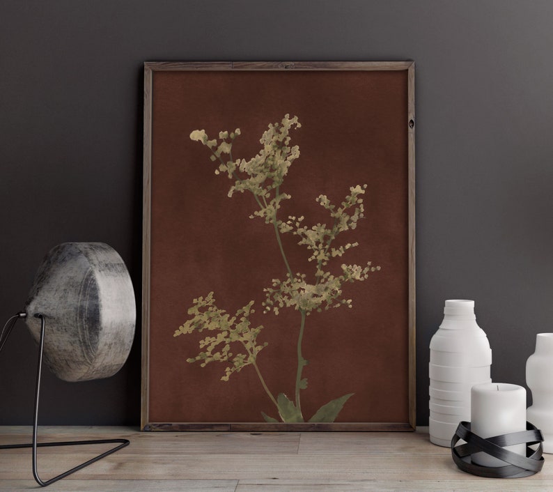 Op de afbeelding: Een ingelijste print van een botanische illustratie met een delicate, lichtgroene plant op een bruine achtergrond.