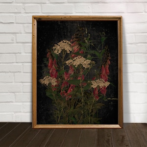 Dunkler botanischer Druck, Wildblumen-Wandkunst, Blumenmalerei, Kräuter Aquarell, herunterladbare Kunstdrucke, schwarzer Hintergrund, Blumenkunstwerk