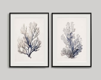 Koralle Aquarell Print Set: Neutrale Küsten Wandkunst (Digitaldrucke)