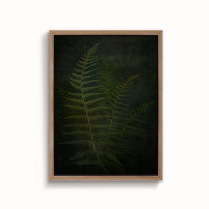 Fern wall art, dark botanical digital prints, fern poster, black botanical, dark floral print, black background, herb wall art, fern leaf