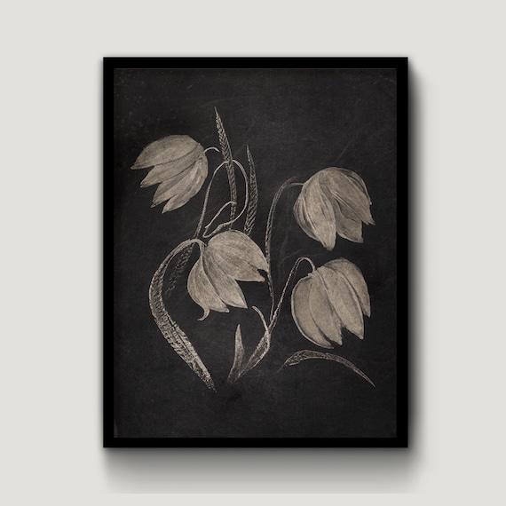 Dark Floral Print: Black and White Botanical Sketch (Digital Print)