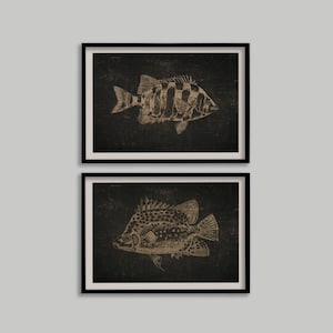 Vintage Fish Print Set: Moody Nautical Wall Art (Digital Prints)
