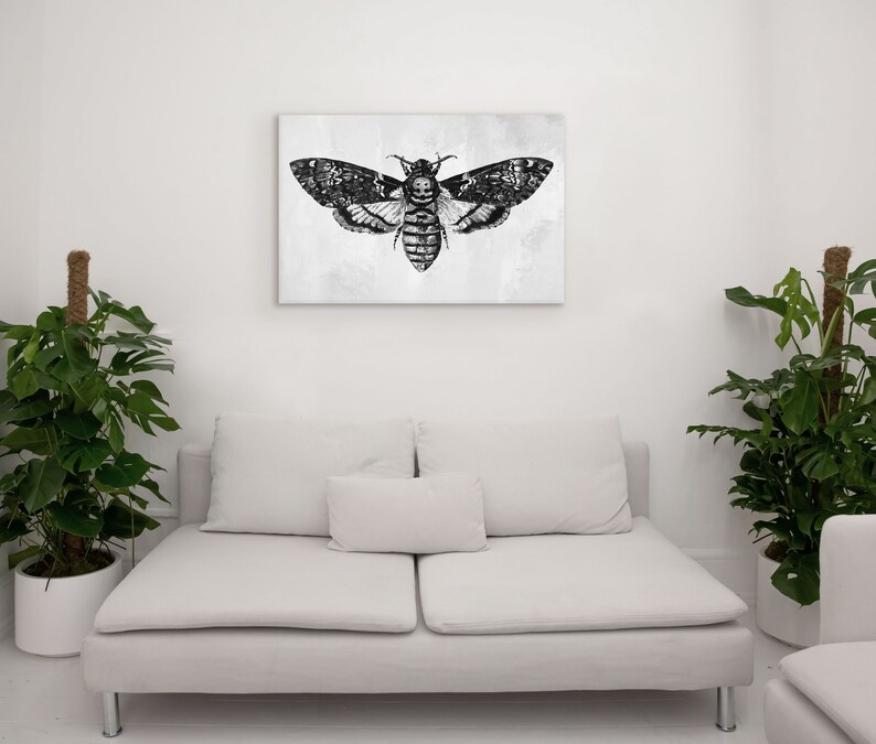 Peut inclure: Une illustration en noir et blanc d'un papillon de nuit aux grandes ailes, imprim&eacute;e sur une toile et encadr&eacute;e. La toile est accroch&eacute;e &agrave; un mur blanc au-dessus d'un canap&eacute; blanc.
