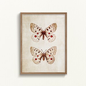 Beige butterfly print, neutral butterfly wall art, vintage butterfly art print, digital prints, vintage insect print, farmhouse wall decor