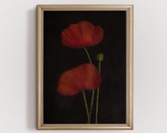 Estampado de amapolas rojas, arte mural con motivos florales oscuros, arte mural con un toque melancólico, estampado floral de amapolas, fondo negro, láminas descargables, láminas de temática académica oscura.