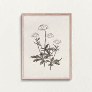 Vintage Wildflower Sketch Art Print: Black and White Botanical (Digital Download)