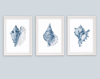 Shell Prints Set: Pale Blue Coastal Wall Art (Digital Download)