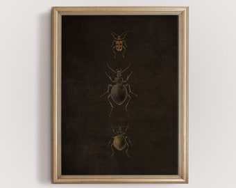 Beetles Art Print, Moody Insect Wall Art (Digital Prints)