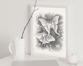 Vintage butterfly print, sketch moth, black and white graphic prints, printable wall art, moth print, butterfly poster, black white sketch,