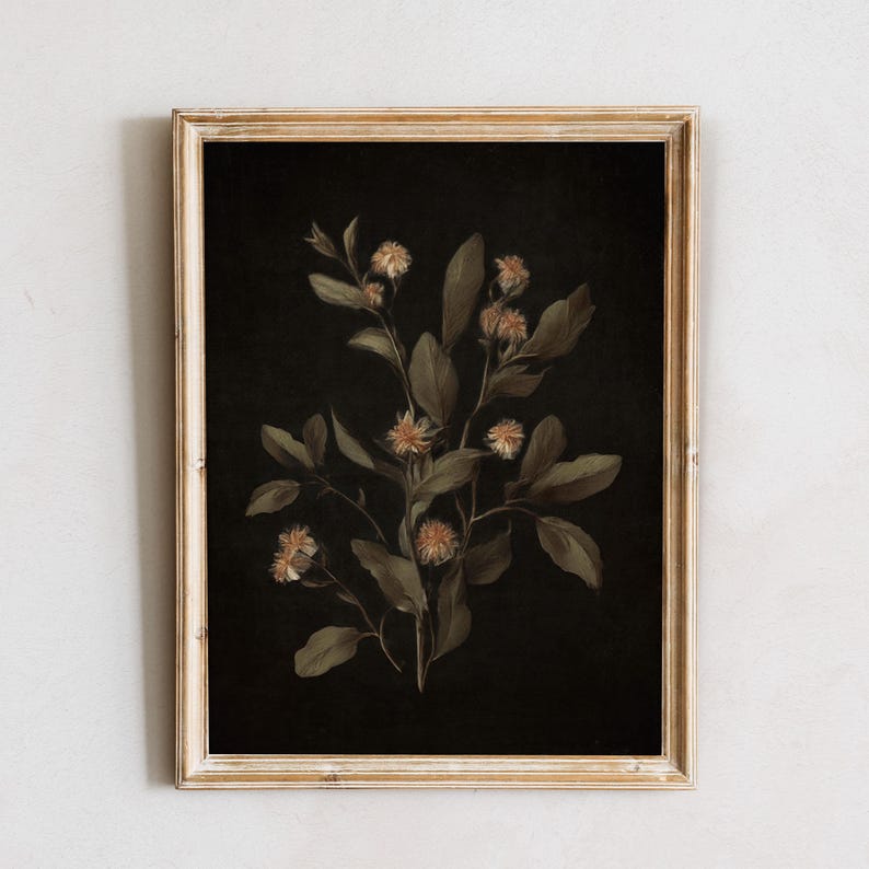 K&ouml;nnte beinhalten: Ein gerahmter Druck einer botanischen Illustration mit einem Zweig zarten wei&szlig;en Bl&uuml;ten mit gelben Zentren vor einem dunklen Hintergrund.