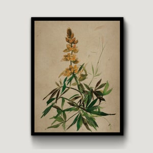 Vintage botanical print, wildflower wall art, yellow flowers print, digital prints, botanical wall art, vintage floral painting, home decor
