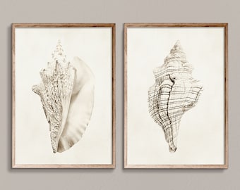 Shell Prints: Neutral Coastal Wall Art (Digital Download)