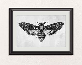 Death’s Head Moth Print, Vintage Butterfly Poster, Moody Gothic Moth Wall Art (Digital Download)