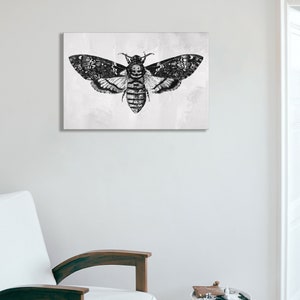 Peut inclure: Illustration en noir et blanc d'un sphinx t&ecirc;te-de-mort avec ses ailes d&eacute;ploy&eacute;es. Le papillon est repr&eacute;sent&eacute; dans un style r&eacute;aliste avec des d&eacute;tails complexes.