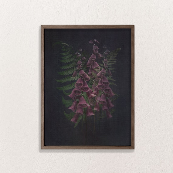 Black Background Botanical Print Dark Botanical Prints Black | Etsy