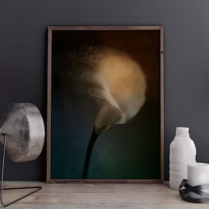 Vintage Moody White Calla Lily Print, Dark Academia Botanical Wall Art Floral Oil Painting, Printable Digital Art, Dark Floral Wall Art
