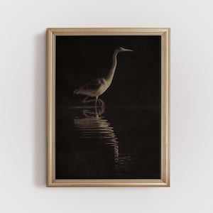 Great blue heron print, coastal bird prints, dark wall art, country farmhouse print, black background art, seabird art, bird digital prints