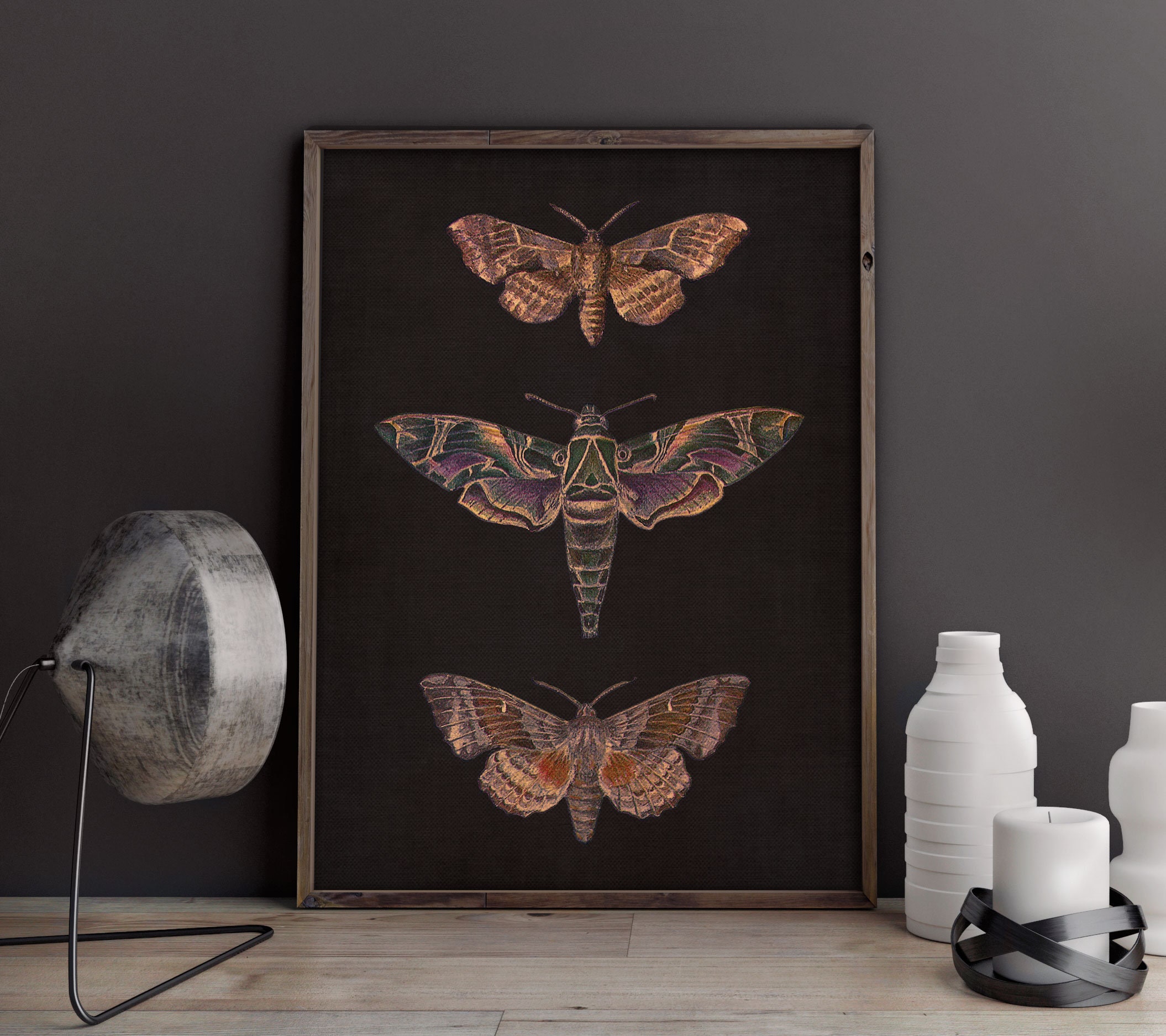 Vintage Moth Printable Wall Art, Dark Academia Insect Print, Moody ...