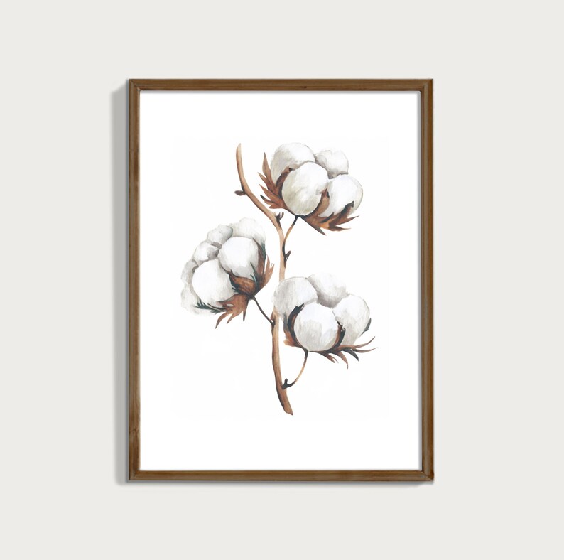 Cotton Plant Print: White Botanical Wall Art (digital Download) - Etsy