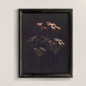 Dark floral print, wildflowers wall art, black botanical print, floral wall art, dark botanical art, flower wall art, digital prints