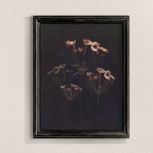 Estampa floral escura, arte de parede com flores silvestres, estampa botânica preta, arte de parede floral, arte botânica escura, arte de parede com flores, impressões digitais