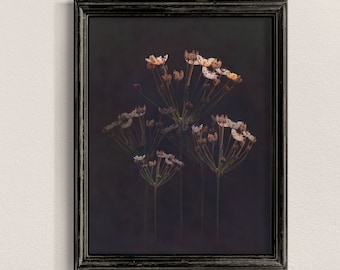 Impresión de flores silvestres oscuras: Arte mural botánico negro (descarga digital)