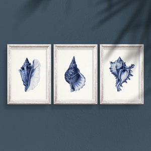 Blue Shell Print Set: Nautical Wall Art (Digital Download)