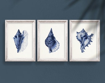 Blue Shell Print Set: Nautical Wall Art (Digital Download)