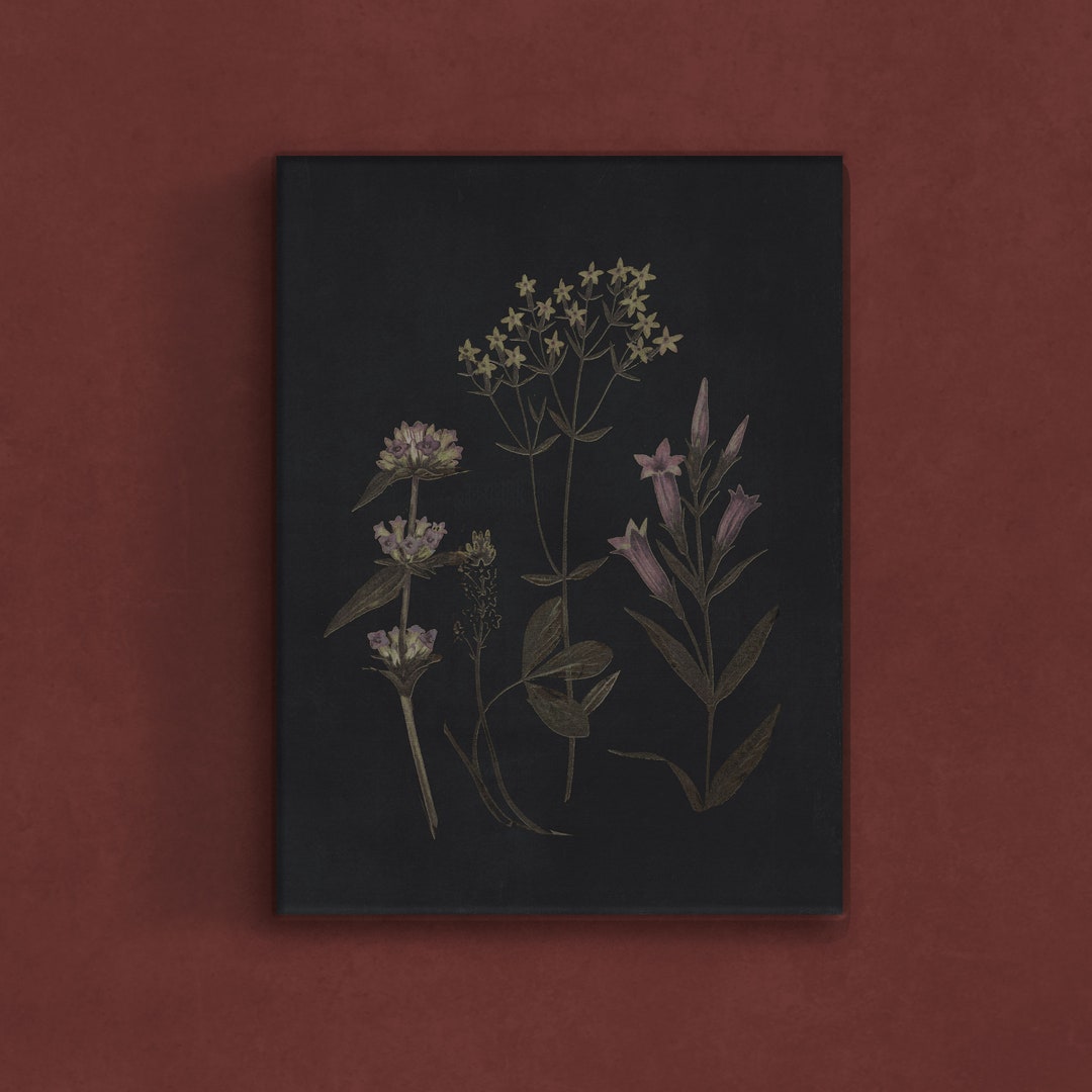 Dark Wildflower Botanical Art Print: Moody Floral Wall Decor (digital ...