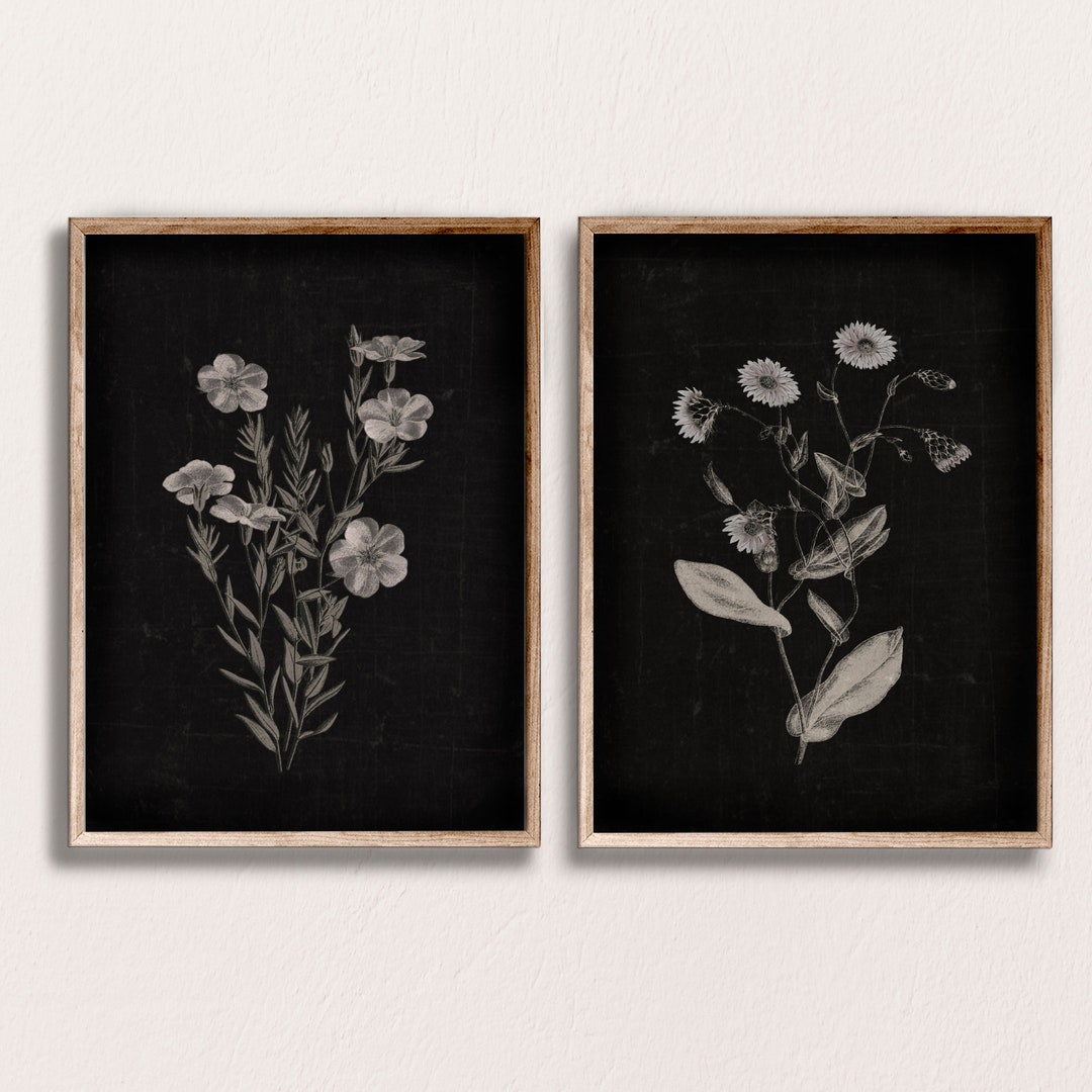 Black Flower Print, Dark Floral Wall Art, Set of 2 Prints, White Floral  Print, Wildflower Printable, Botanical Prints Set, Black Background - Etsy  Denmark