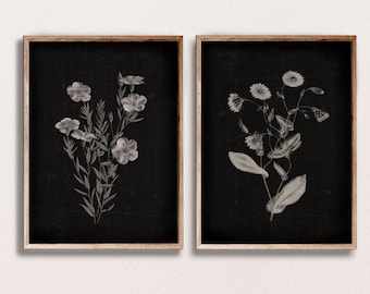 Black Floral Print Set: White Wildflower Botanical Art (Digital Download)