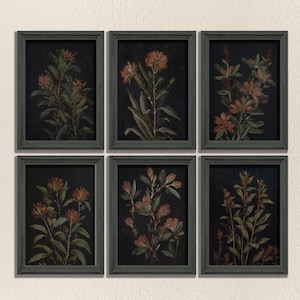 Stimmungsvolle Blumenwandkunst, dunkler botanischer Druck, 6-teiliges Druckset, Digitaldrucke, Dark Academia Blumenkunst, 6-teilige Wandkunst, Wildblumenplakat