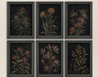 Conjunto de estampados florales de Dark Academia: Arte mural botánico con un toque melancólico (impresiones digitales)