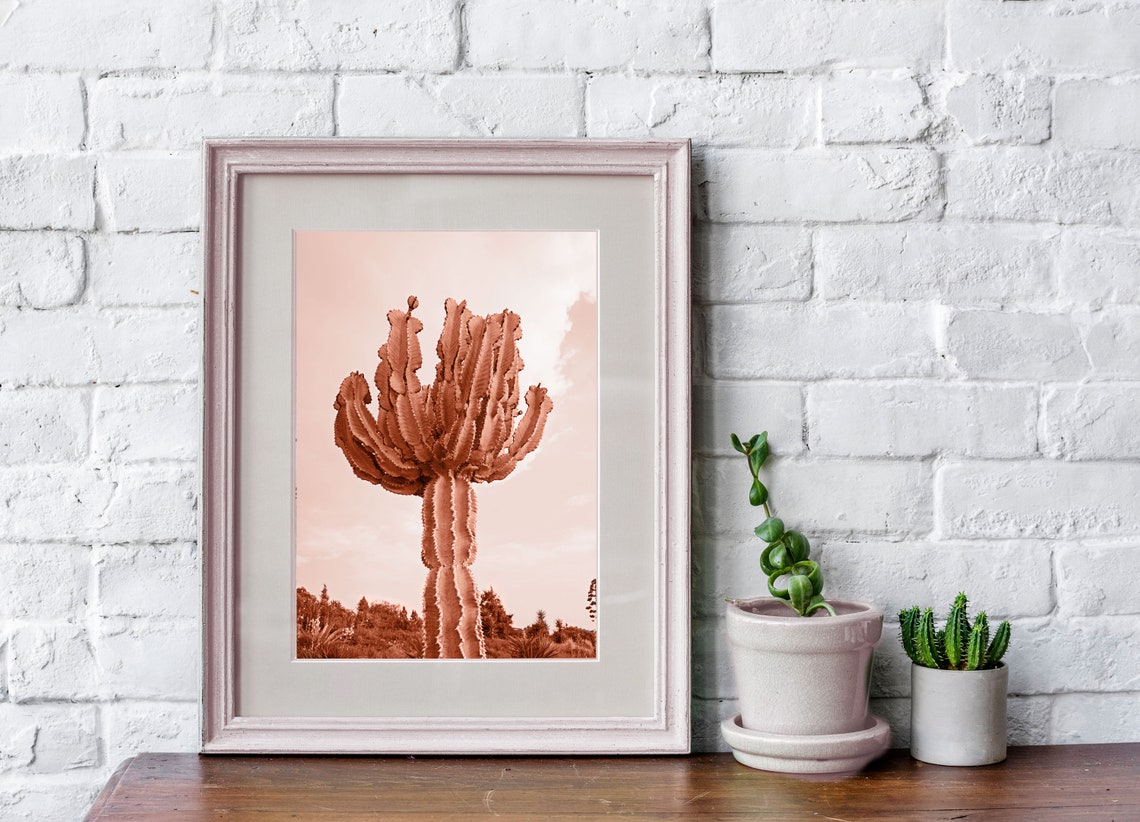 Pink cactus print cacti wall art pink botanical print Etsy