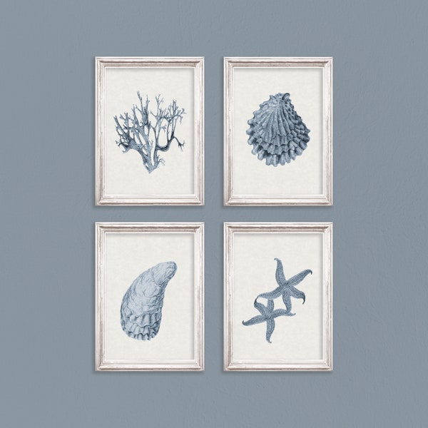 Coral Print Set, shell wall art, set of 4 print, nautical print set, navy blue wall art, blue coral print, starfish print, coastal print set