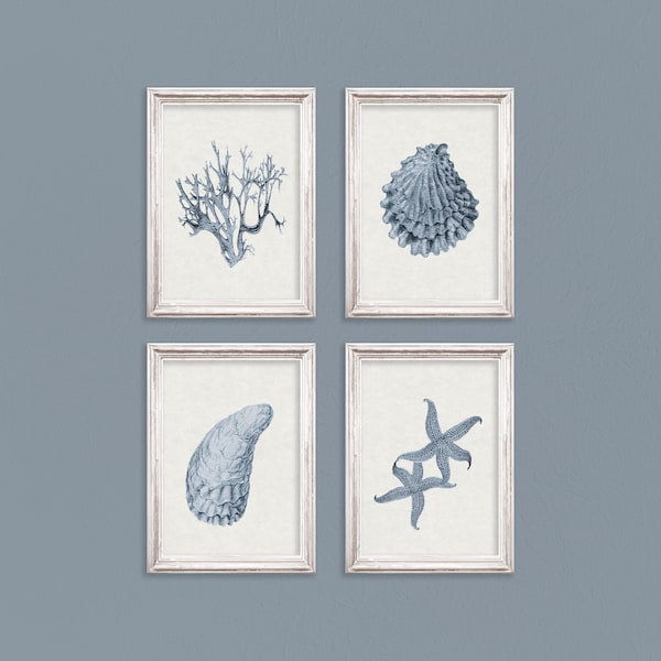 Coral Navy Wall Art Etsy