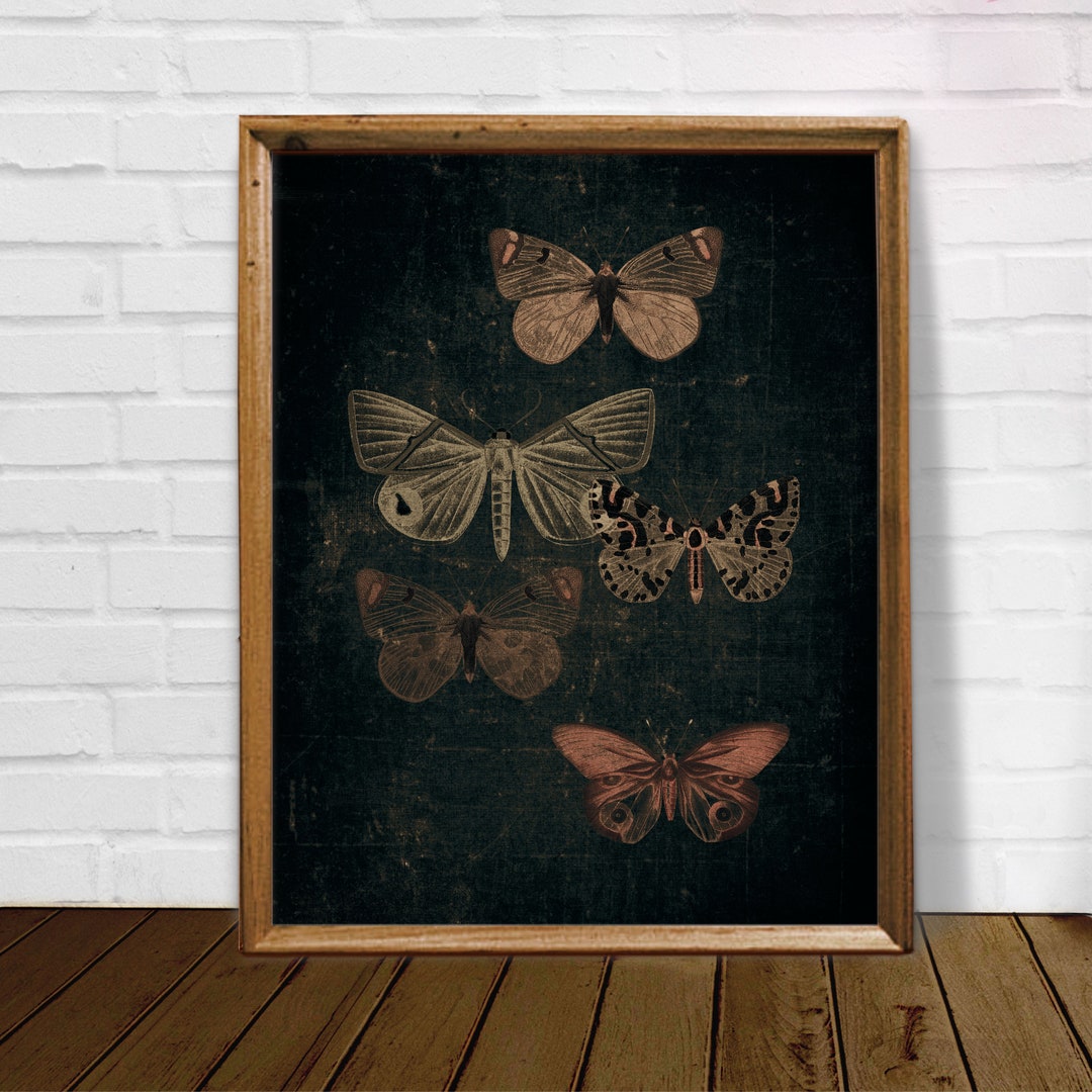 Vintage Moth Print: Dark Academia Butterfly Wall Art (digital Download ...