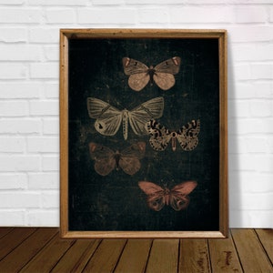 Dunkler Schmetterling Print, Vintage Schmetterling Kunst, Schmetterling Print, schwarzer Hintergrund, dunkle Wandkunst, Insekten Poster, herunterladbare Kunstdrucke