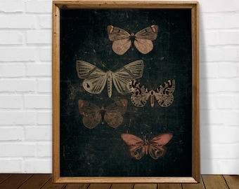 Dark butterfly print, vintage butterfly art, black butterfly print, black background, dark wall art, insect poster, downloadable art prints