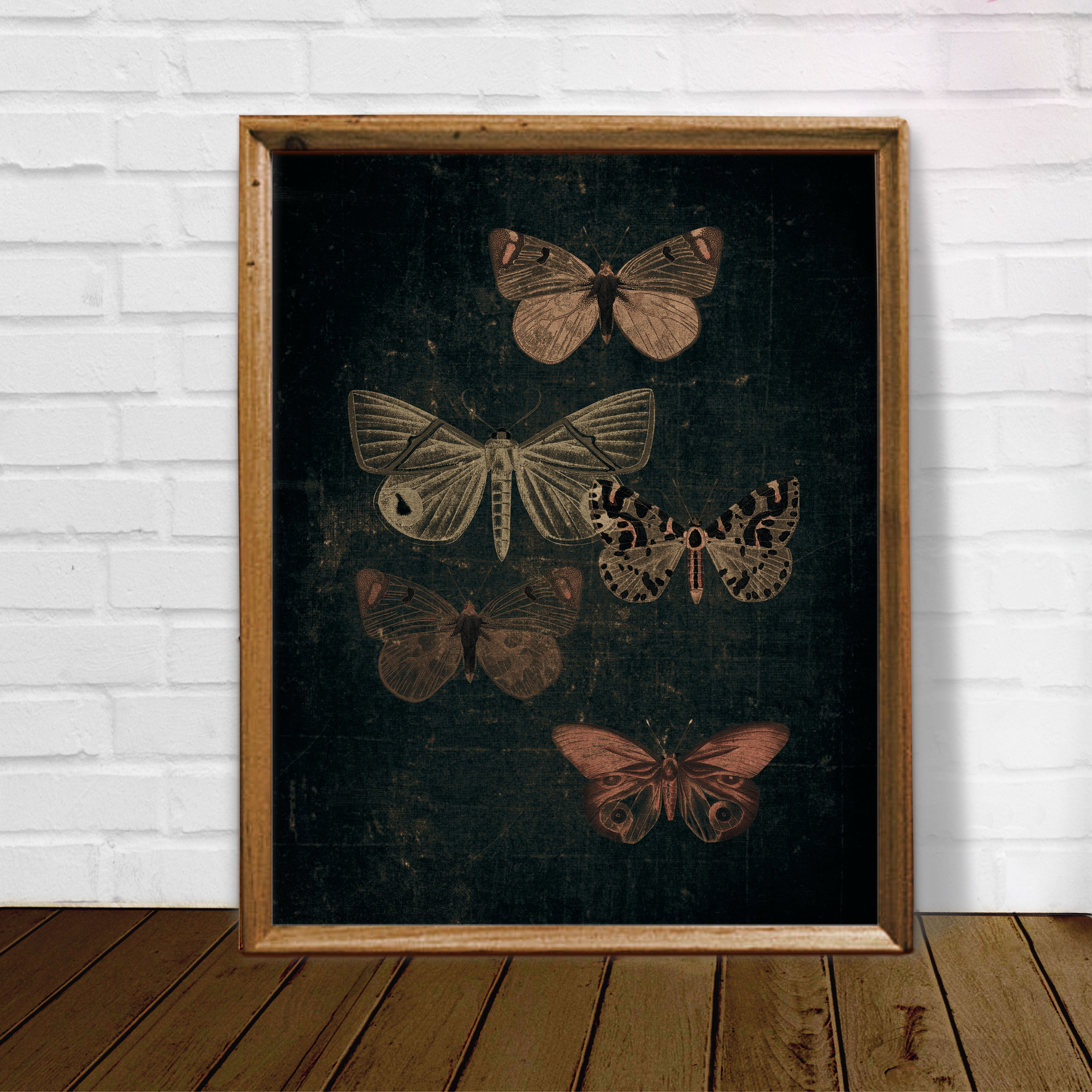 Vintage Moth Print: Dark Academia Butterfly Wall Art (digital Download ...