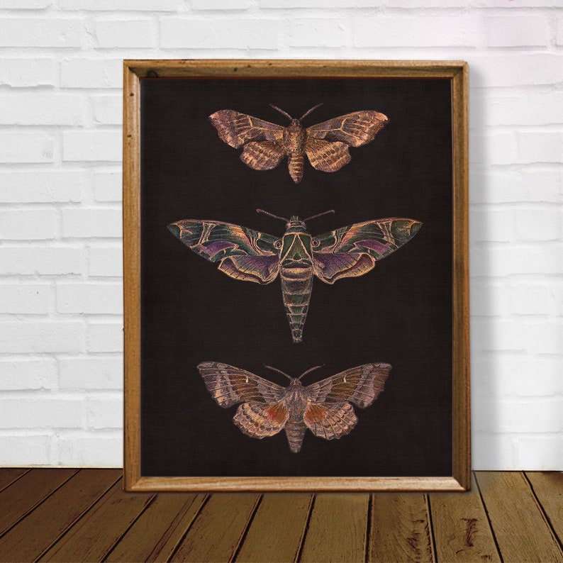 Vintage Moth Printable Wall Art, Dark Academia Insect Print, Moody ...
