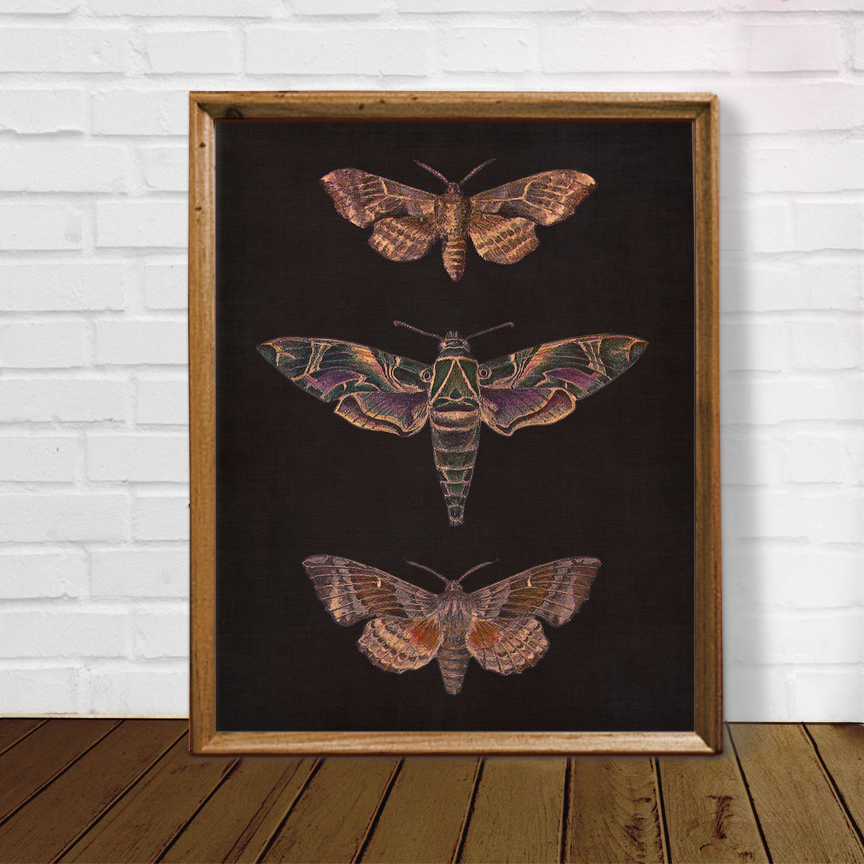 Vintage Moth Printable Wall Art, Dark Academia Insect Print, Moody ...