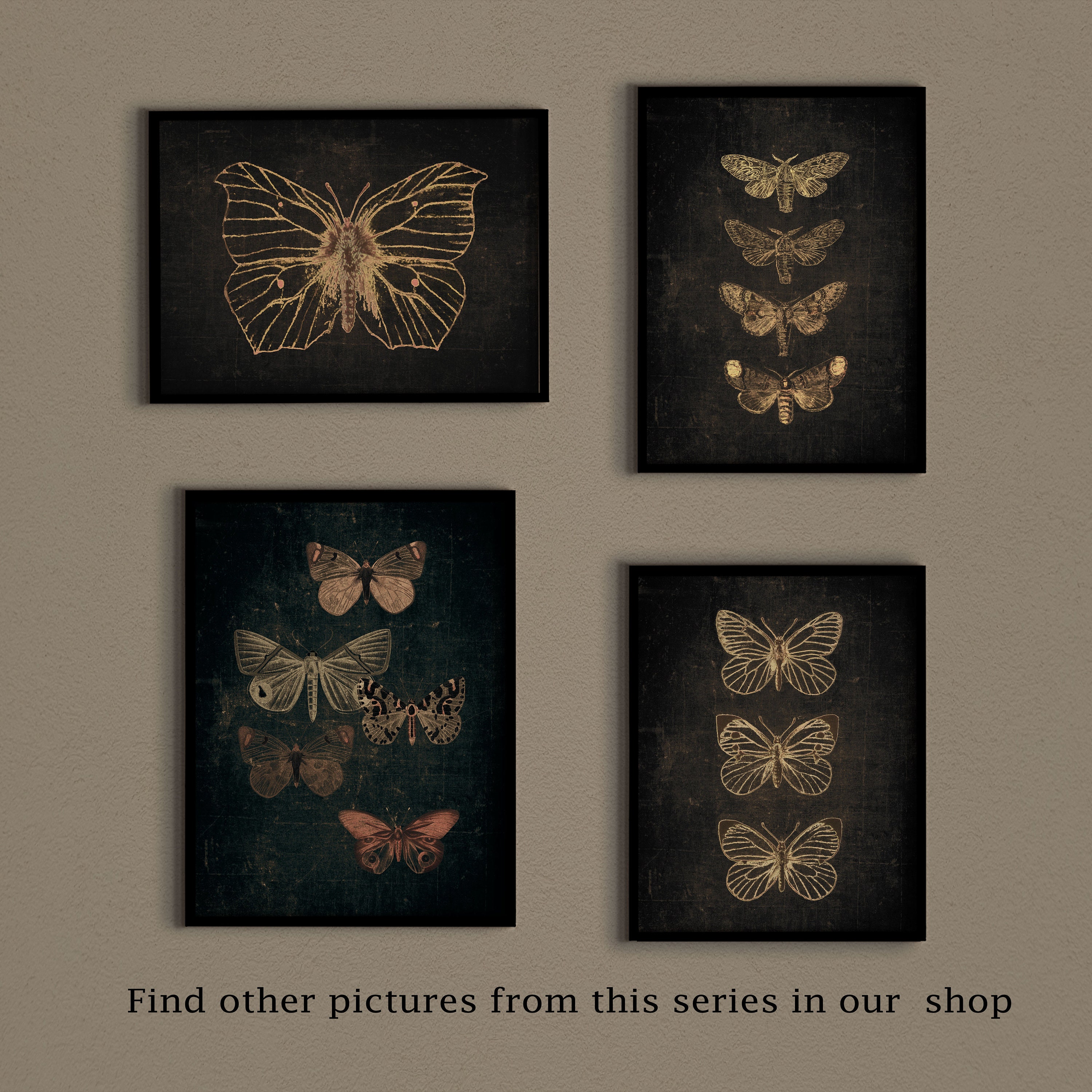 Vintage Moth Print: Dark Academia Butterfly Wall Art (digital Download ...