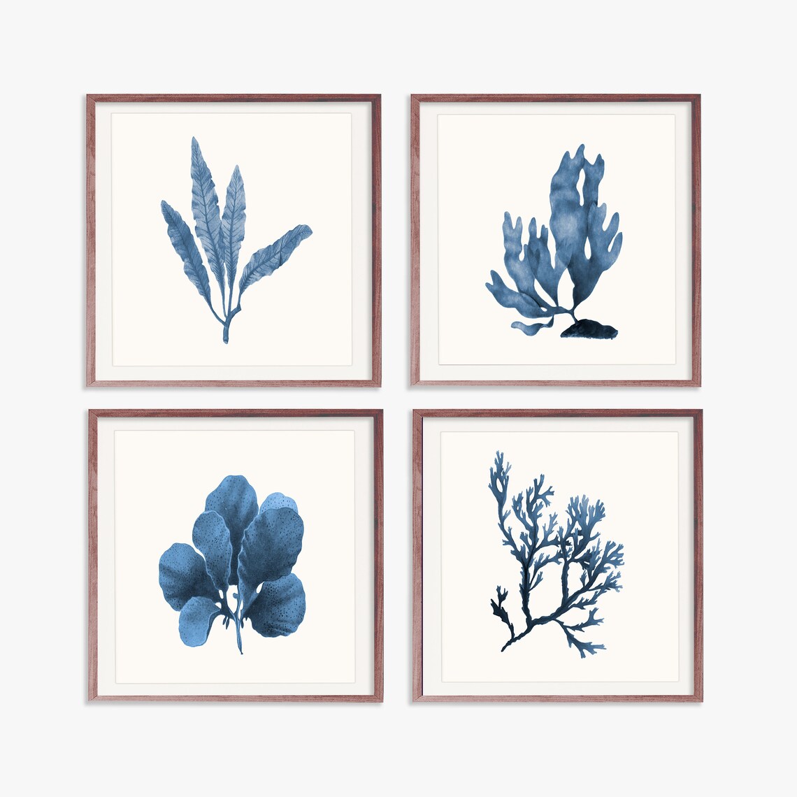 Coral Art Print Navy Blue Wall Art Blue Coral Gallery Wall Etsy